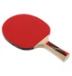 Теннисная ракетка Donic Legends 600 ONE SIZE Комбінований 724416 - изображение 4