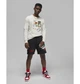 Кофта мужская Jordan Artist Series By Jacob Rochester Long-Sleeve M Білий DV1474-141 - изображение 6