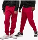 Брюки чоловічі Jordan Brooklyn Fleece M Червоний FV7277-687 - зображення 1