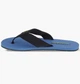 Тапочки мужские Helly Hansen Seasand Hp 2 Flip-Flops 39 Синій 11954-636 - изображение 1