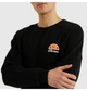 Кофта мужская Ellesse Diveria Sweatshirt M Комбінований SHS02215-001 - изображение 5
