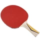 Теннисная ракетка Donic Top Team 200 ONE SIZE Комбінований 705021 - изображение 4