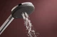 Душовий гарнітур Hansgrohe Raindance Alive Select S 125 EcoSmart 24603000 - зображення 13