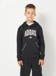 Детское худи для мальчика Adidas Essentials JM1536 128 см Black (4068808394925) - изображение 1