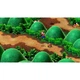 Игра для Nintendo Switch Super Mario RPG Nintendo Switch - изображение 6