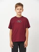 Детская футболка для мальчика Puma ESS LOGO LAB Relaxed 68898496 122-128 см Ruby Shimmer (4069157679640) - изображение 1