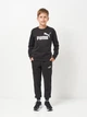 Подростковый теплый спортивный костюм (свитшот + штаны) для мальчика Puma ESS No.1 Logo Crew 68972101 170-176 см Puma Black (4069157433747) - изображение 1