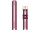 Cмарт-часи Canyon Semifreddo SW-61 Pink/Cherry (CNS-SW61BR) - зображення 2