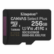 Карта памяти microSDXC Kingston Canvas Select Plus 256GB UHS-I Class 10 V10 (SDCS3/256GBSP) - изображение 1