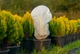 Чехол для укрытия растений Gardenlife КУПОЛ 140×100 с фиксатором - изображение 3