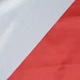 Тканина болонія сільвер червона (60г/м.кв150см пог.м) 38229 - зображення 4