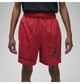 Шорты мужские Jordan Dri-Fit Sport Bc Mesh Shorts M Червоний DZ0569-687 - изображение 3