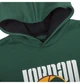 Кофта мужская Jordan M J Sprt Dna Hbr Flc Po M DC9639-333 - изображение 4