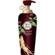 Регенеруючий шампунь Daeng Gi Meo Ri Vitalizing Energy Shampoo 500 мл - зображення 1
