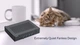 Компьютер персональный неттоп PN43-BBN100MD MFF, Intel N100, 1*SO-DIMM, M.2SSD, UMA, WiFi, NoOS Asus (teh0014369) - изображение 4