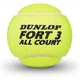 Теннисный мяч Dunlop Fort All Court Ts 3 St Green 601315 MISC - изображение 3