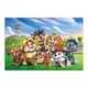 Пазл-міні Dodo Paw Patrol Зустріч біля вежі - изображение 3