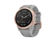 Смарт-часи Garmin Fenix ​​6S Rose Gold-tone with Powder Gray Band (010-02159-21/20) - зображення 1