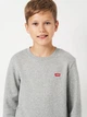Подростковый теплый свитшот для мальчика Levi`s 9EE331-C87 134-140 см Серый (3666643200107) - изображение 4