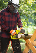 Piła łańcuchowa Ryobi RY18CS20A-0 akumulatorowa ONE+ 18V 20 cm (bez akumulatora i ładowarki) (5133005414) - obraz 7