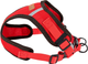 Szelki dla psów Comfy Leo M 56-62 256187 (5905546333498) - obraz 4