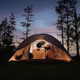 Namiot dwuosobowy Naturehike CNK2300ZP024 Brązowy (6976023923715) - obraz 2