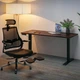 Стіл Evo-kids PowerDesk Duo Antique з електрорегулюванням висоти (арт. EVO-242 Duo Antique / Black) - изображение 2