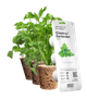 Змінний картридж Click&Grow Кінза 3 шт (8417) - зображення 1