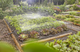 Zestaw do nawadniania Gardena Micro-Drip-System (13450-20.000.00) - obraz 5