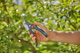 Секатор Gardena PremiumCut Pro Flex S-XL обвідний 24 мм (аналог 08905-20.000.00) (12252-20.000.00) - зображення 10