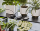 Набір Gardena Holiday Watering для поливу в вихідні дні (13366-20.000.00) - зображення 5