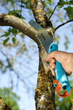 Садова пила Gardena Combisystem CS 300 PP (08737-20.000.00) - зображення 7