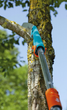 Садова пила Gardena Combisystem CS 300 PP (08737-20.000.00) - зображення 8