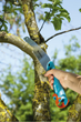 Садова пила Gardena Combisystem CS 300 PP (08737-20.000.00) - зображення 14