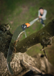 Вигнута пила Fiskars QuikFit (1000691/136527) - зображення 4