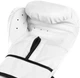 Перчатки боксерские Everlast CORE 2 TRAINING GLOVES белые S/M P00002325 - изображение 5