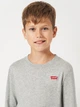 Футболка с длинным рукавом детская Levi's Lvb L/S Batwing Chesthit Tee 9EC706-C87 170-176 см Серая (3665115295399) - изображение 4