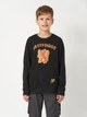 Подростковый свитшот Disney Harry Potter HP 52 18 116 146-152 см Черный (5904009150771) - изображение 1