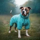 Дождевик для собак WAUDOG Clothes водонепроницаемый S40 В6-59 см С7-40 см Голубой (19862collar) - изображение 4