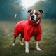 Дождевик для собак WAUDOG Clothes водонепроницаемый XS30 В3-45 см С7-30 см Красный (19823collar) - изображение 4