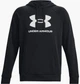 Кофта чоловіча Under Armour Rival Fleece Logo Hd 2XL Чорний 1379758-001 - зображення 1
