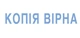 Штамп Trodat 38*14 мм. КОПІЯ (4911 P4) - изображение 1