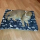 Мягкий пушистый плед одеяло для собачек, кошки в переноску, домик 41*61см - изображение 3