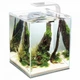 Аквариум Aquael Smart Day&Night для креветок, белый, 10 л (*) - изображение 1