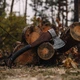 Сокира ЛАДДЯ ВІКІНГІВ Gorillas BBQ TR11 - зображення 7