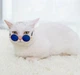 Очки для кошек и котов "CATDOG" Blue Size S - изображение 2