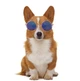 Очки для кошек и котов "CATDOG" Blue Size S - изображение 5