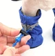 Взуття для собак "мішечки" Blue Size 2 - зображення 2