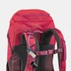 Рюкзак MH500 для гірських походів Quechua 20 л L - изображение 10