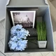 Органайзер Luminaria STORAGE BOX XL для зберігання речей та одягу 40 х 40 х 25 см Сірий (6951712316054) - зображення 9
